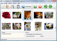 javascript popup box on mouser over Ajax Photo Album Templates
