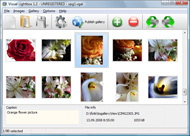 html java pop up window size Moodle Theme Album